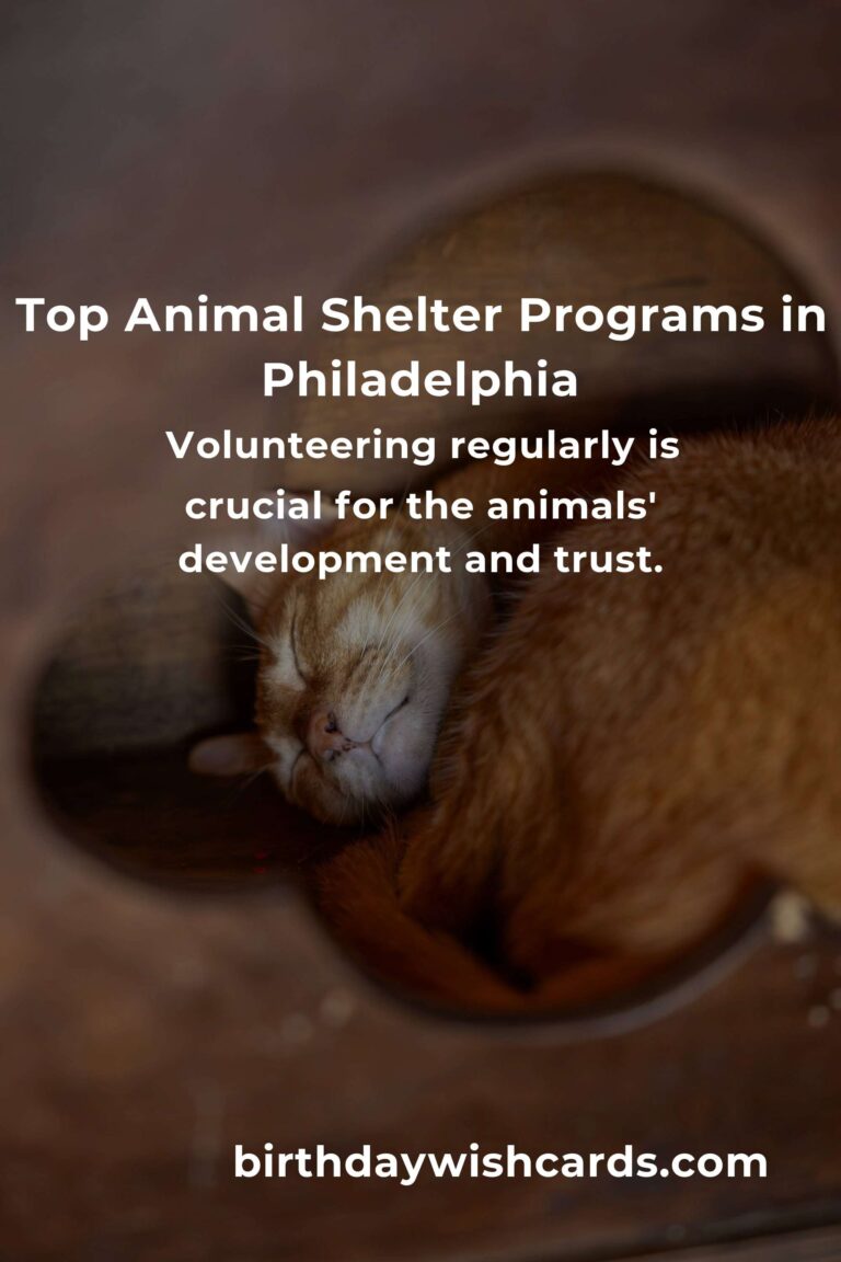 Best Animal Shelter Volunteer Programs in Philadelphia