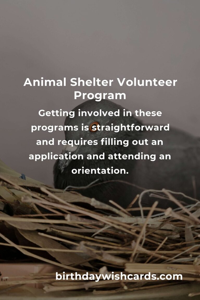 Best Animal Shelter Volunteer Programs in Salvador