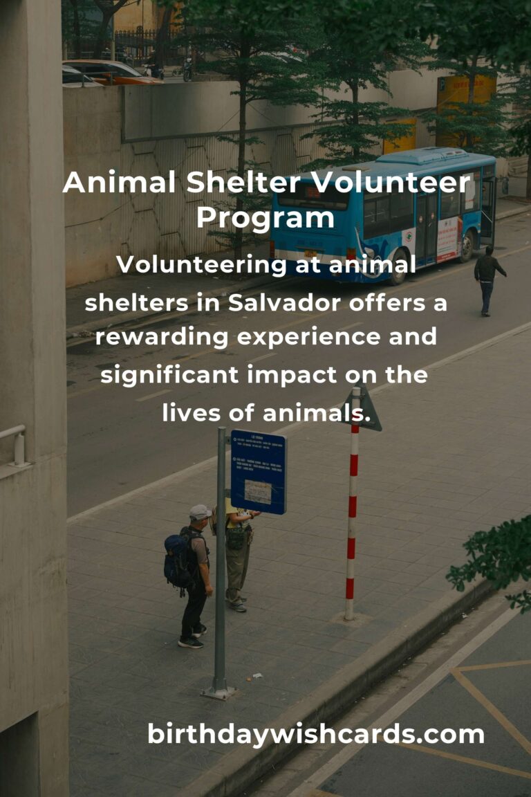 Best Animal Shelter Volunteer Programs in Salvador