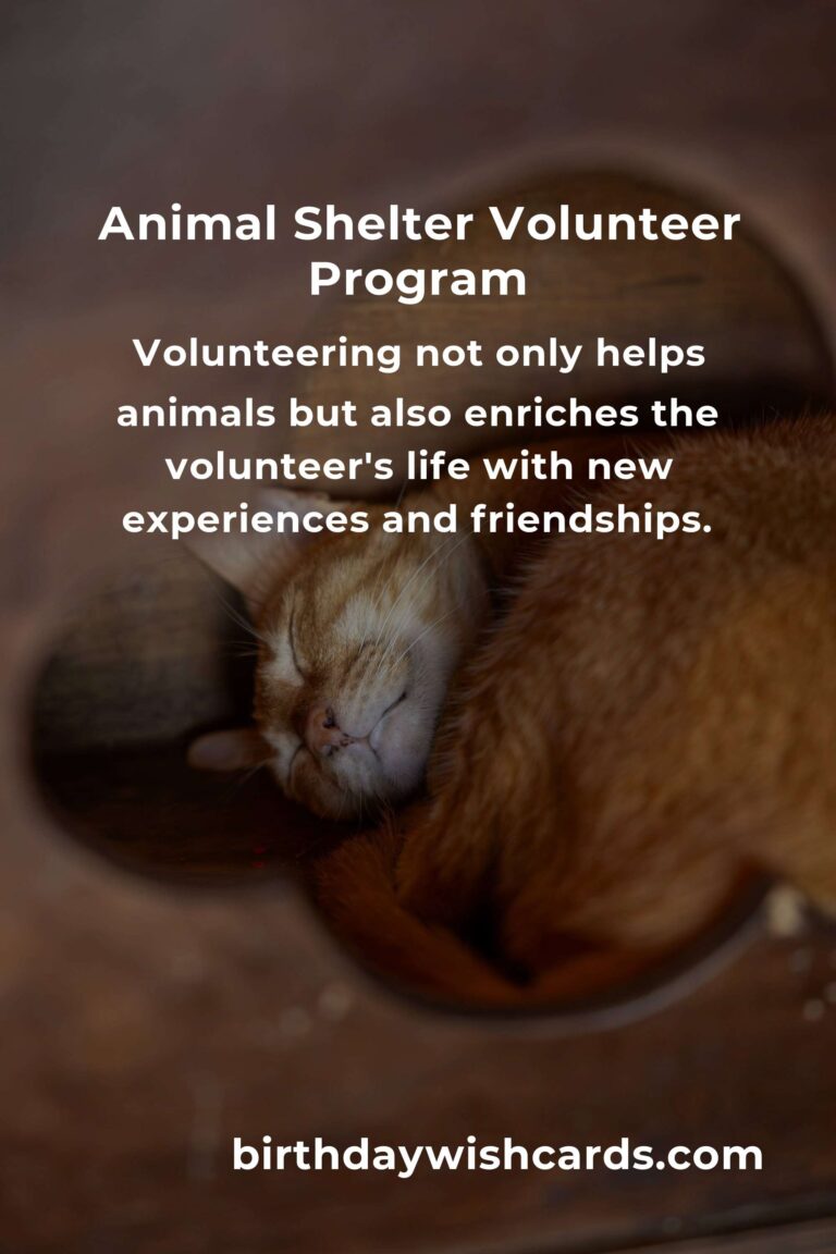 Best Animal Shelter Volunteer Programs in Salvador