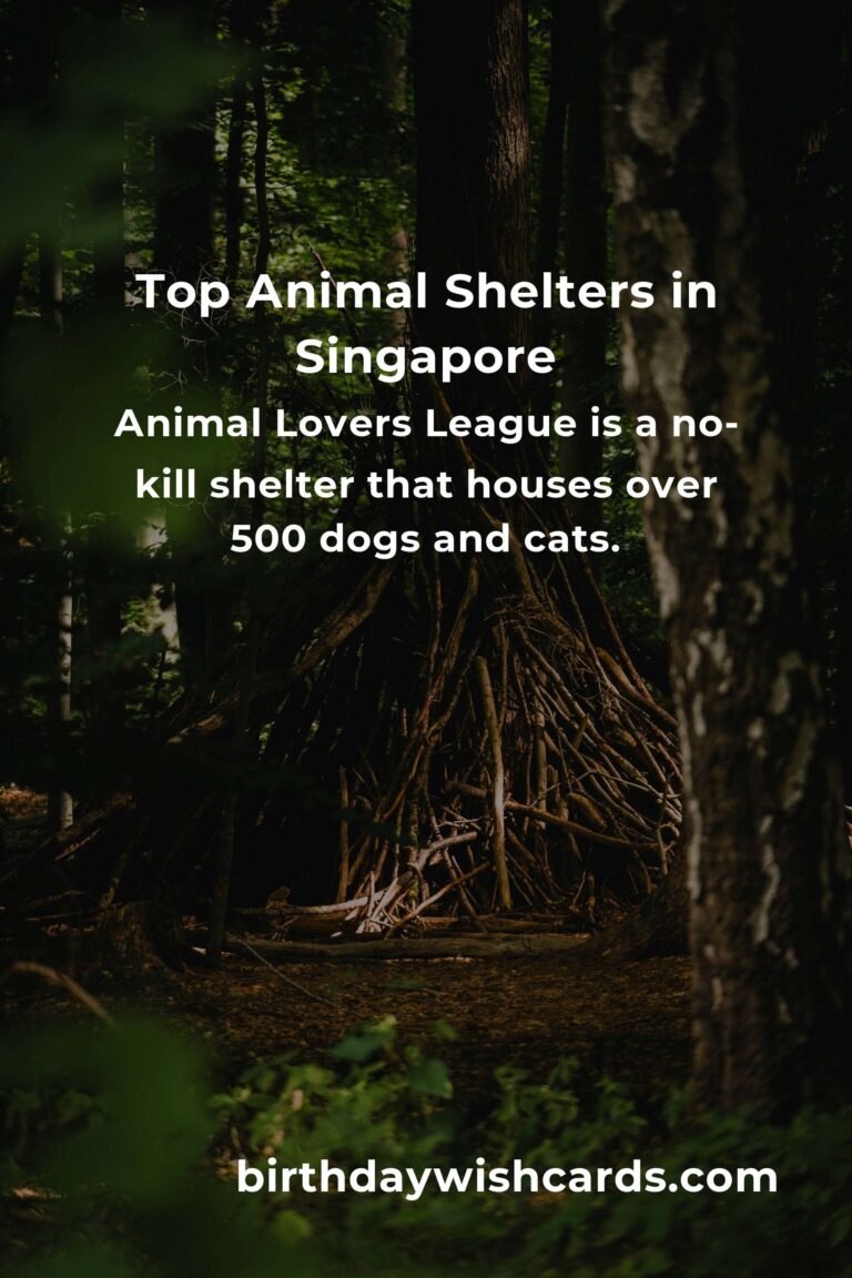 Best Animal Shelter Volunteer Programs in Singapore