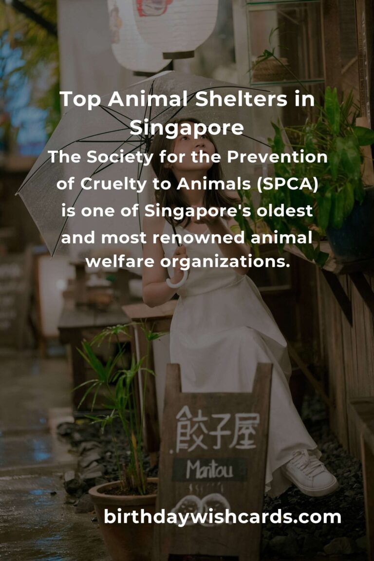 Best Animal Shelter Volunteer Programs in Singapore
