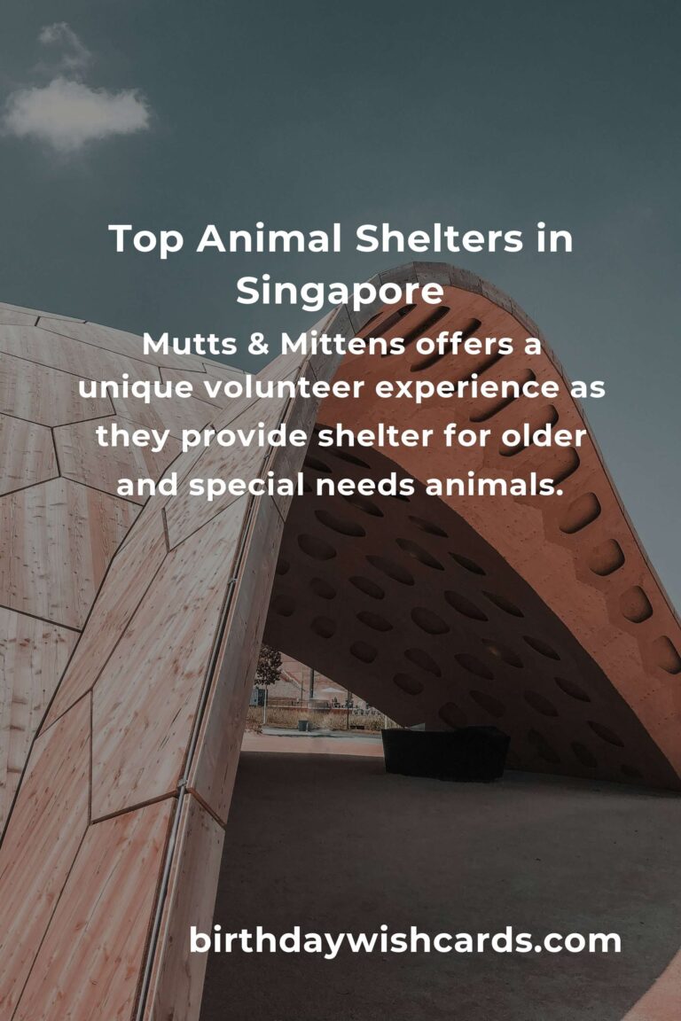 Best Animal Shelter Volunteer Programs in Singapore