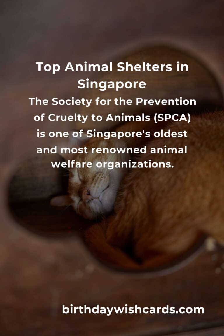 Best Animal Shelter Volunteer Programs in Singapore
