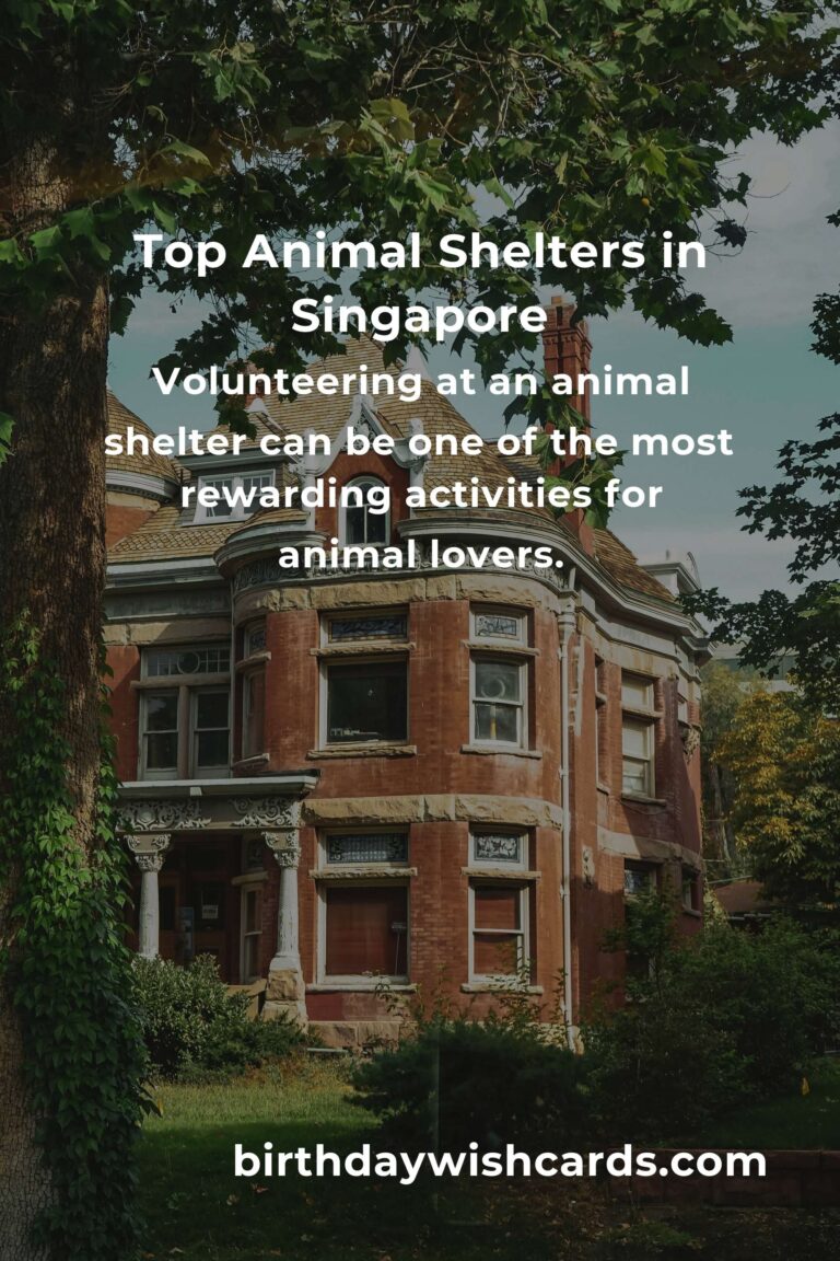 Best Animal Shelter Volunteer Programs in Singapore