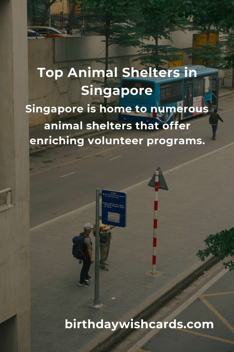 Best Animal Shelter Volunteer Programs in Singapore