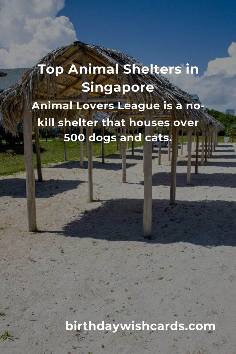 Best Animal Shelter Volunteer Programs in Singapore