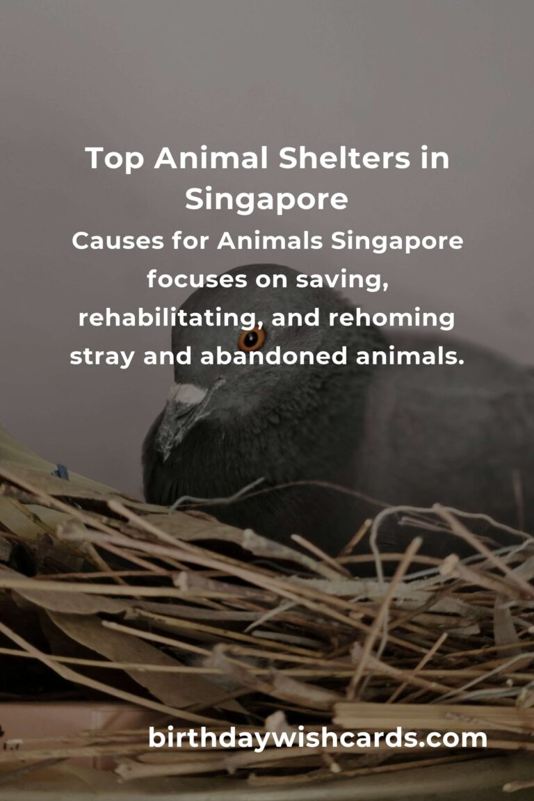 Best Animal Shelter Volunteer Programs in Singapore