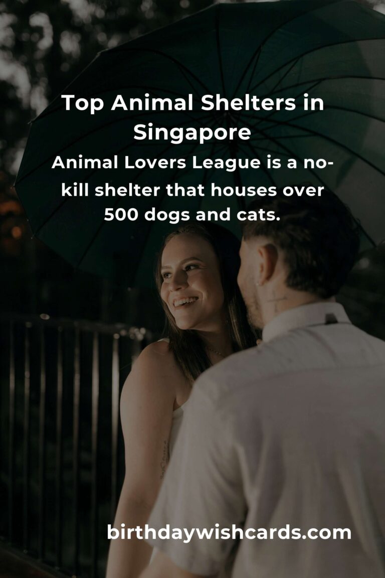 Best Animal Shelter Volunteer Programs in Singapore