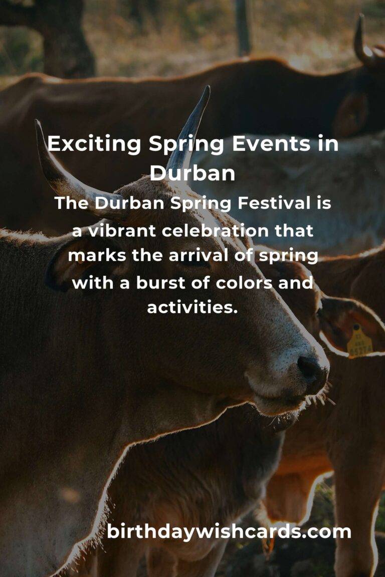 Best Spring Events in Durban for Students: A Comprehensive Guide