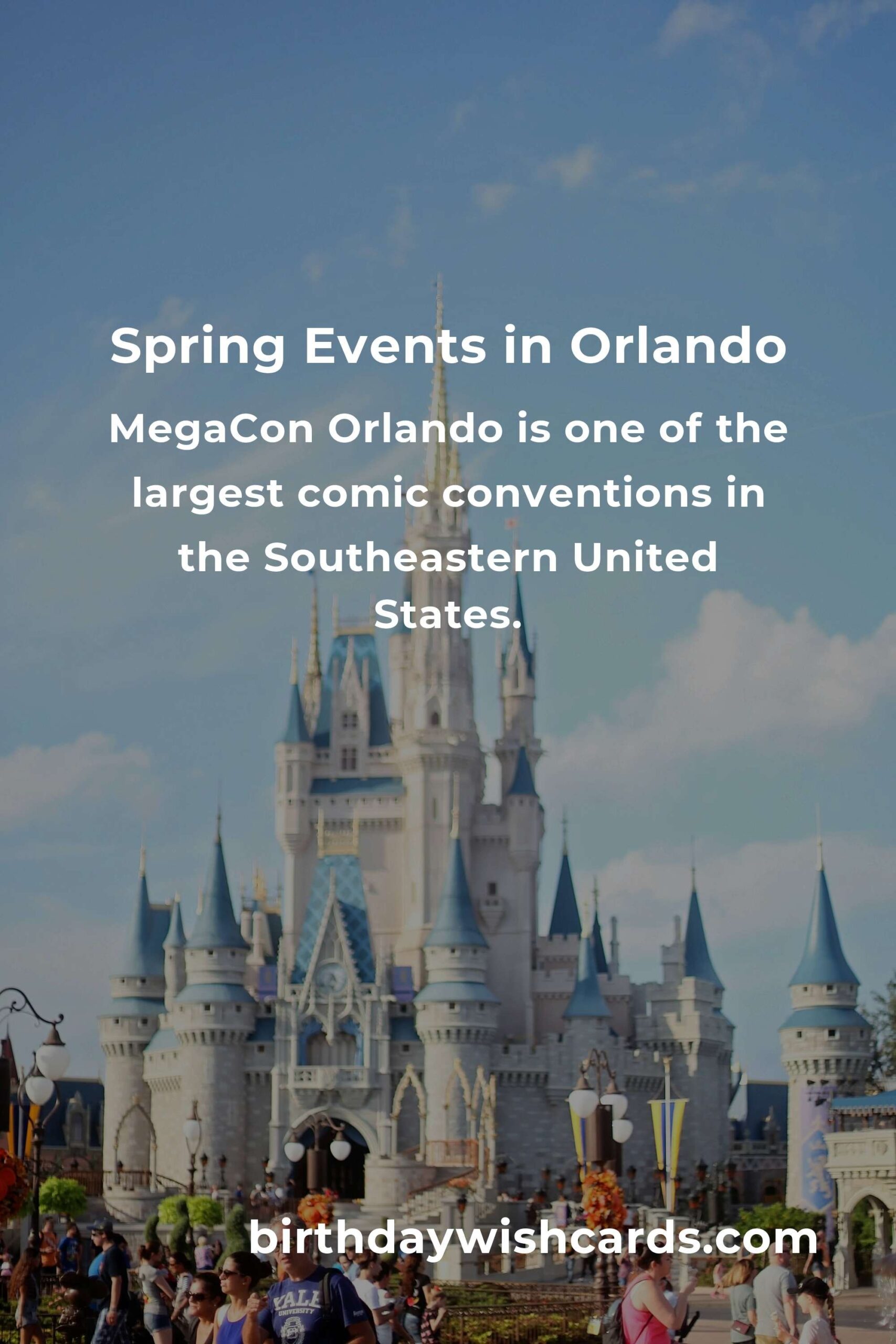 Best Spring Events in Orlando for Young Adults