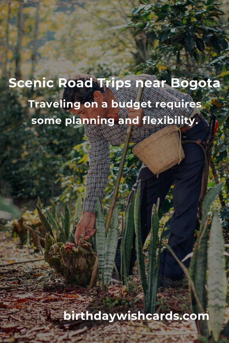 Budget-Friendly Guide to Road Trip Routes in Bogota