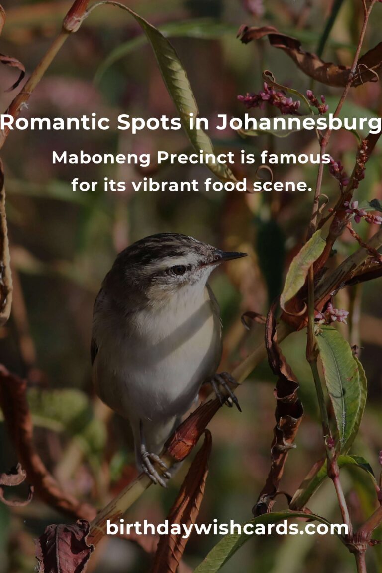 Budget-Friendly Romantic Getaways in Johannesburg
