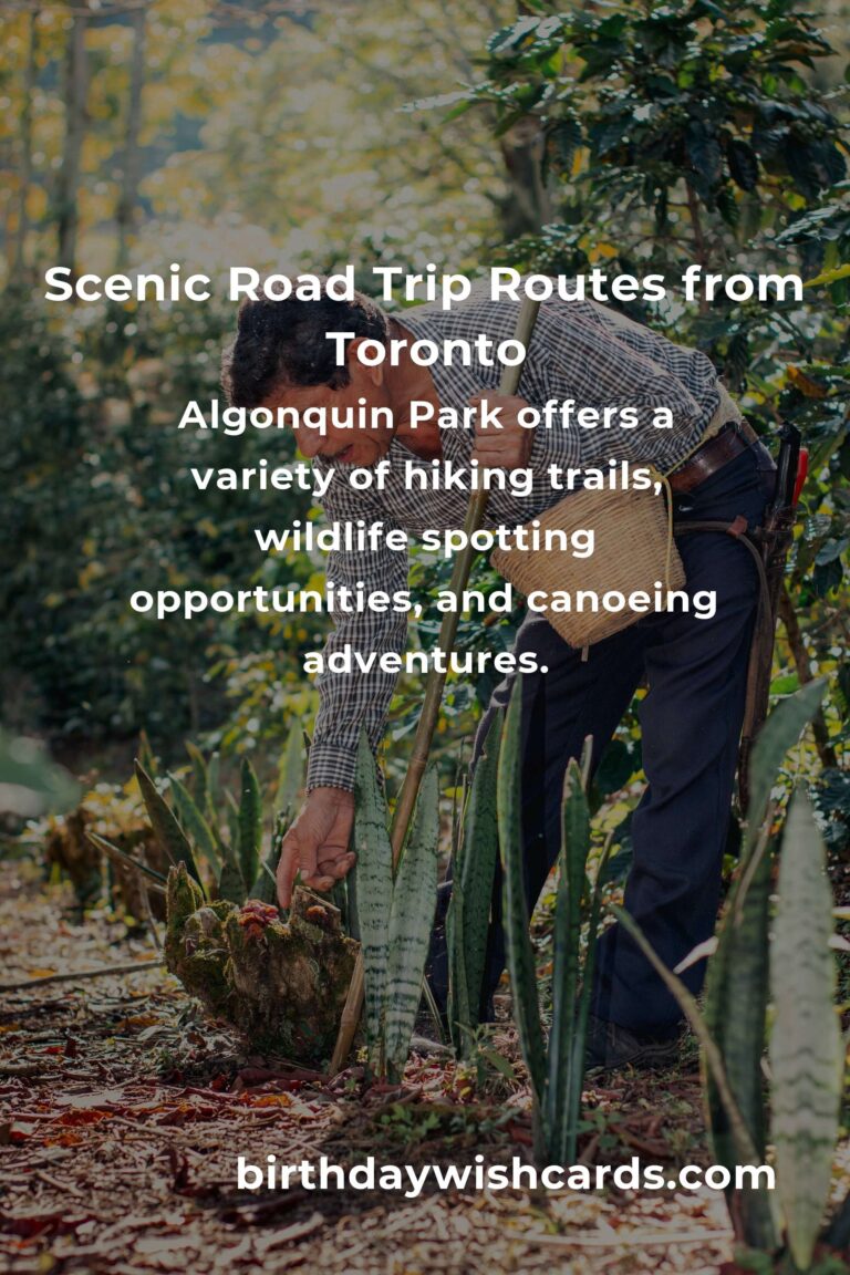 Budget Guide to Affordable Road Trip Routes from Toronto