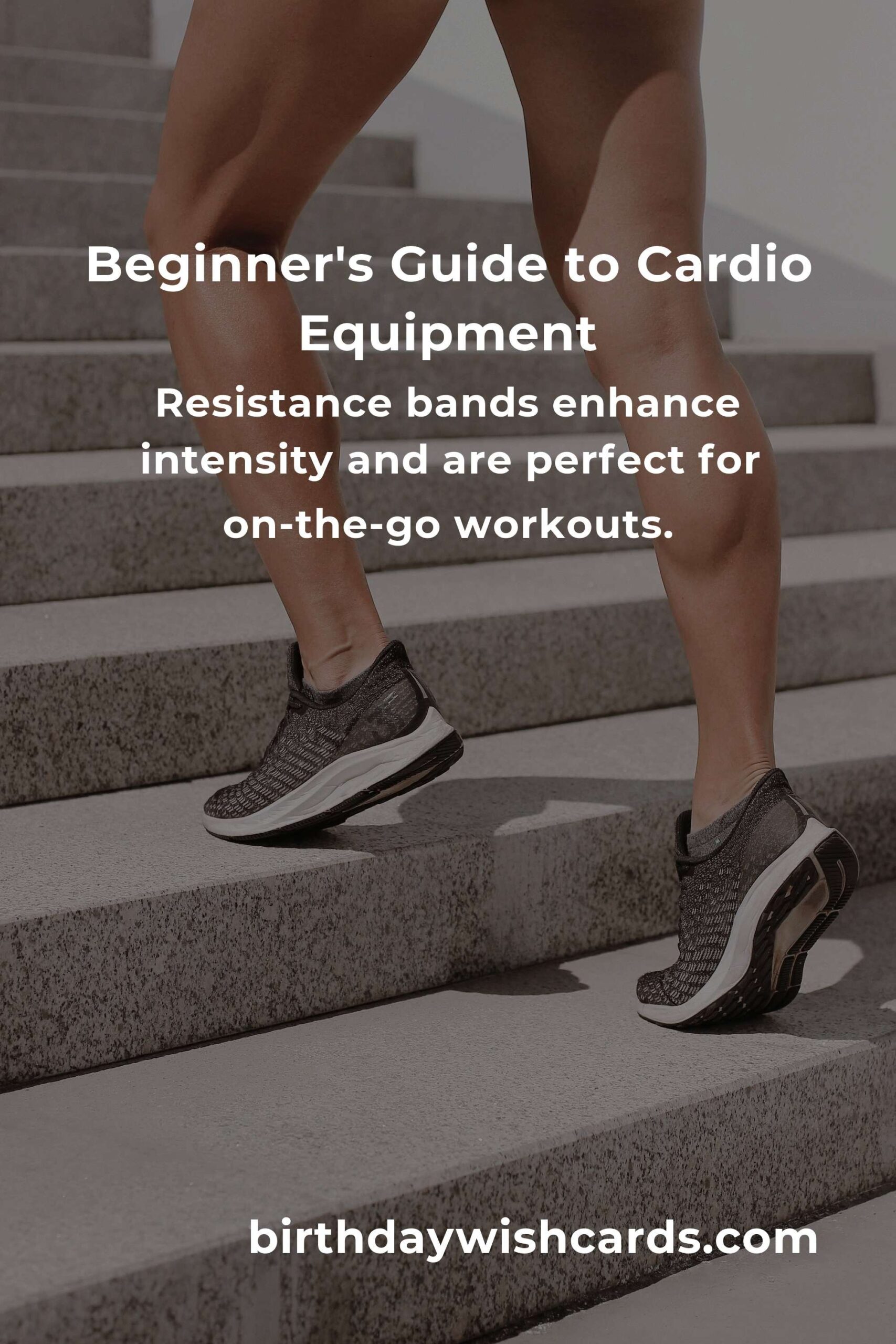 Cardio Workouts Equipment Guide: A Beginner’s Path to Heartfelt Fitness