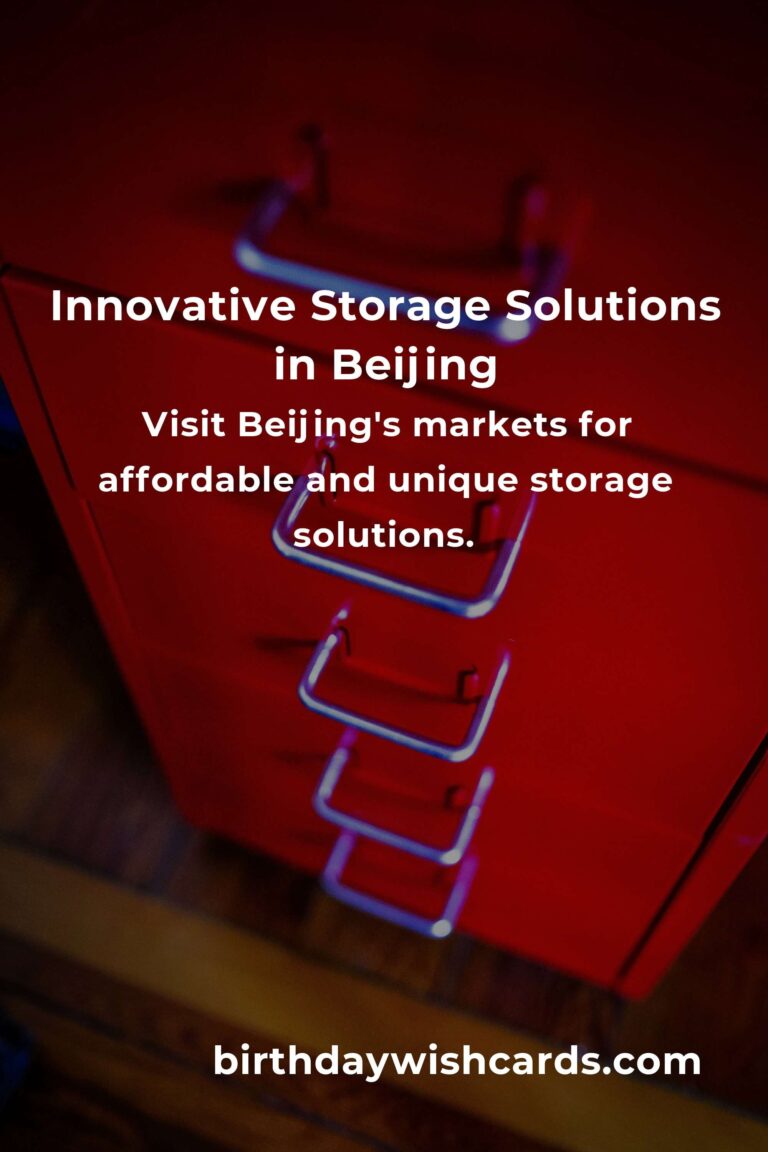 Crafting Affordable Storage Solutions in the Heart of Beijing