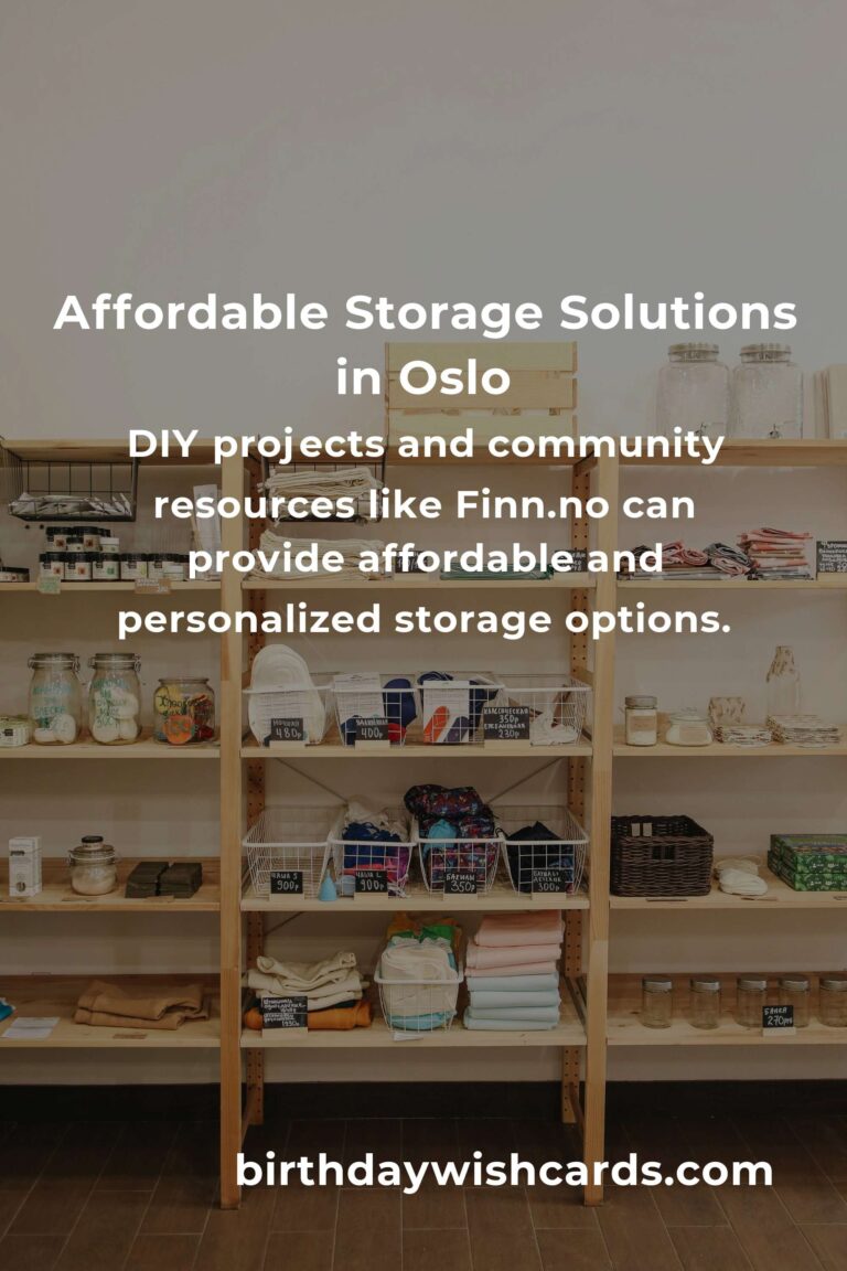 Creating Affordable Storage Solutions in Oslo: Maximize Space Without Breaking the Bank