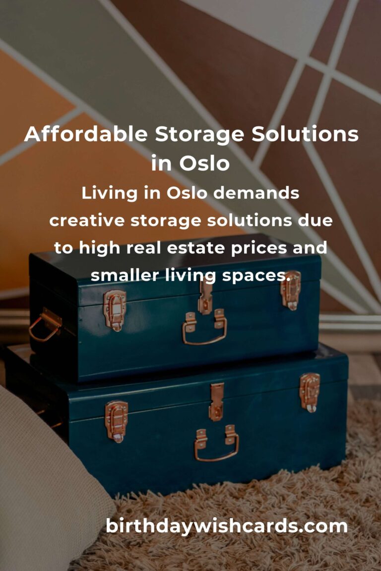 Creating Affordable Storage Solutions in Oslo: Maximize Space Without Breaking the Bank