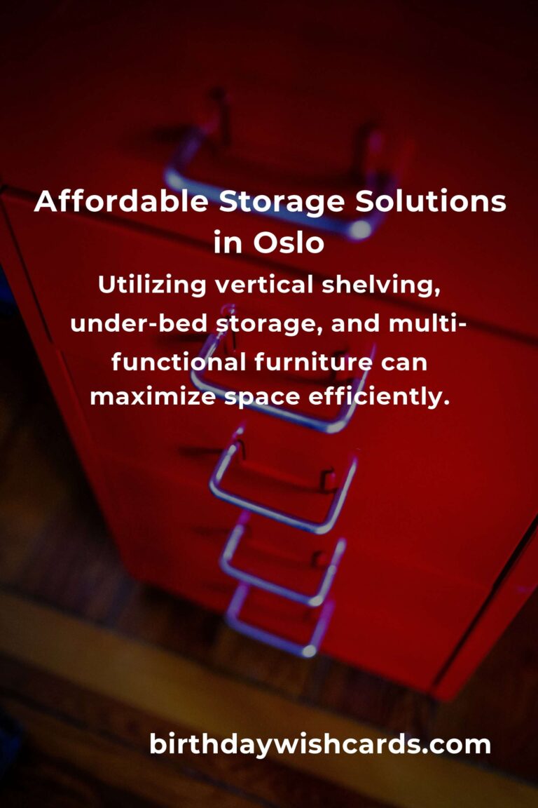 Creating Affordable Storage Solutions in Oslo: Maximize Space Without Breaking the Bank