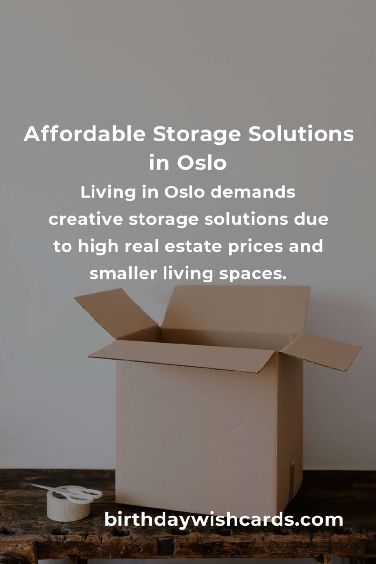Creating Affordable Storage Solutions in Oslo: Maximize Space Without Breaking the Bank