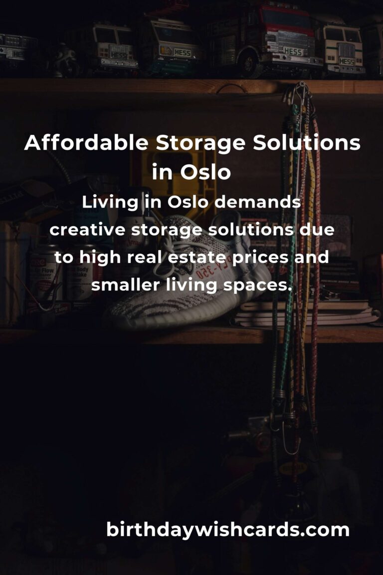 Creating Affordable Storage Solutions in Oslo: Maximize Space Without Breaking the Bank
