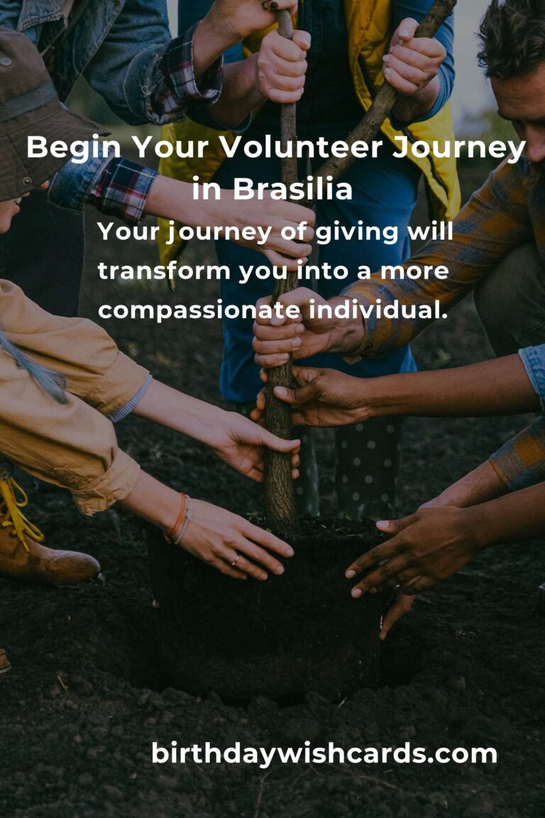 Discover Heartfelt Volunteer Opportunities for Beginners in Brasilia