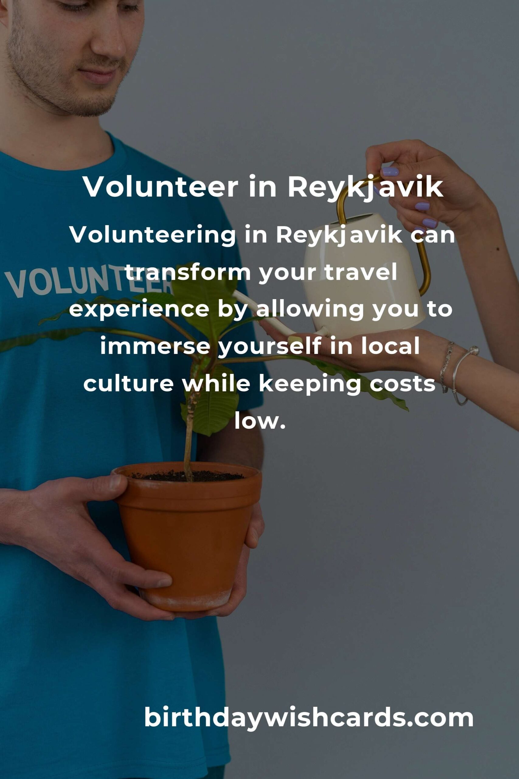 Discover Life-Changing Volunteer Opportunities for Budget Travelers in Reykjavik
