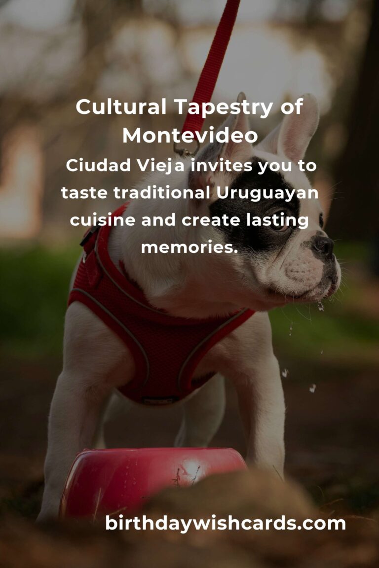 Discover Montevideo: An Emotional Journey Through Its Cultural Sites