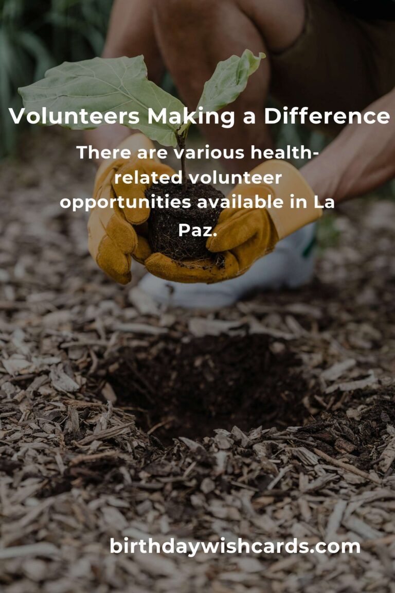 Discover Rewarding Volunteer Opportunities for Seniors in La Paz