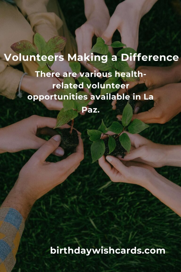 Discover Rewarding Volunteer Opportunities for Seniors in La Paz