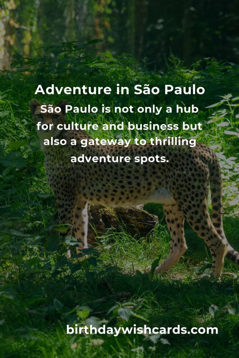 Discover the Best Adventure Spots in São Paulo: Ultimate Guide