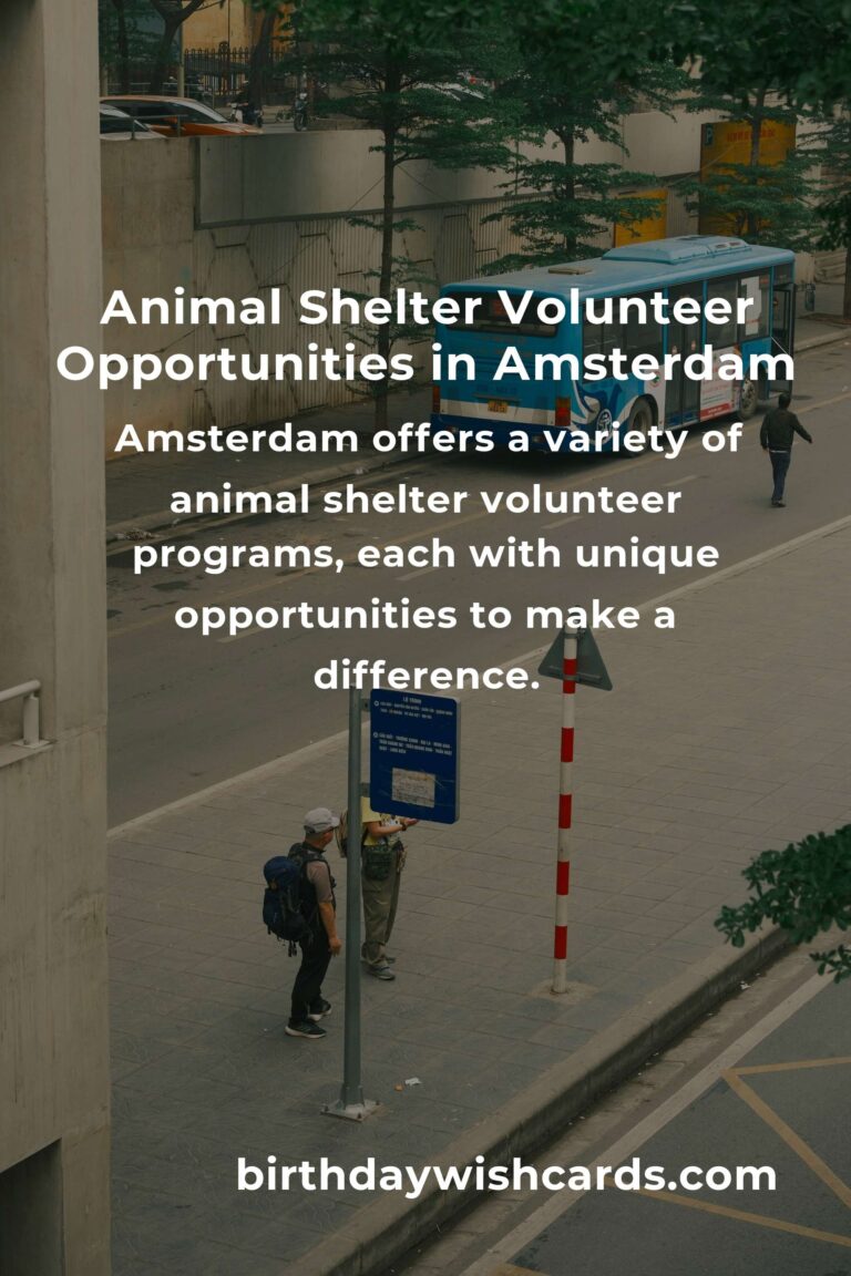 Discover the Best Animal Shelter Volunteer Programs in Amsterdam