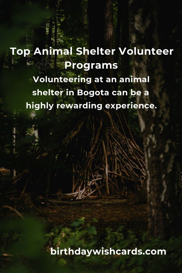 Discover the Best Animal Shelter Volunteer Programs in Bogota