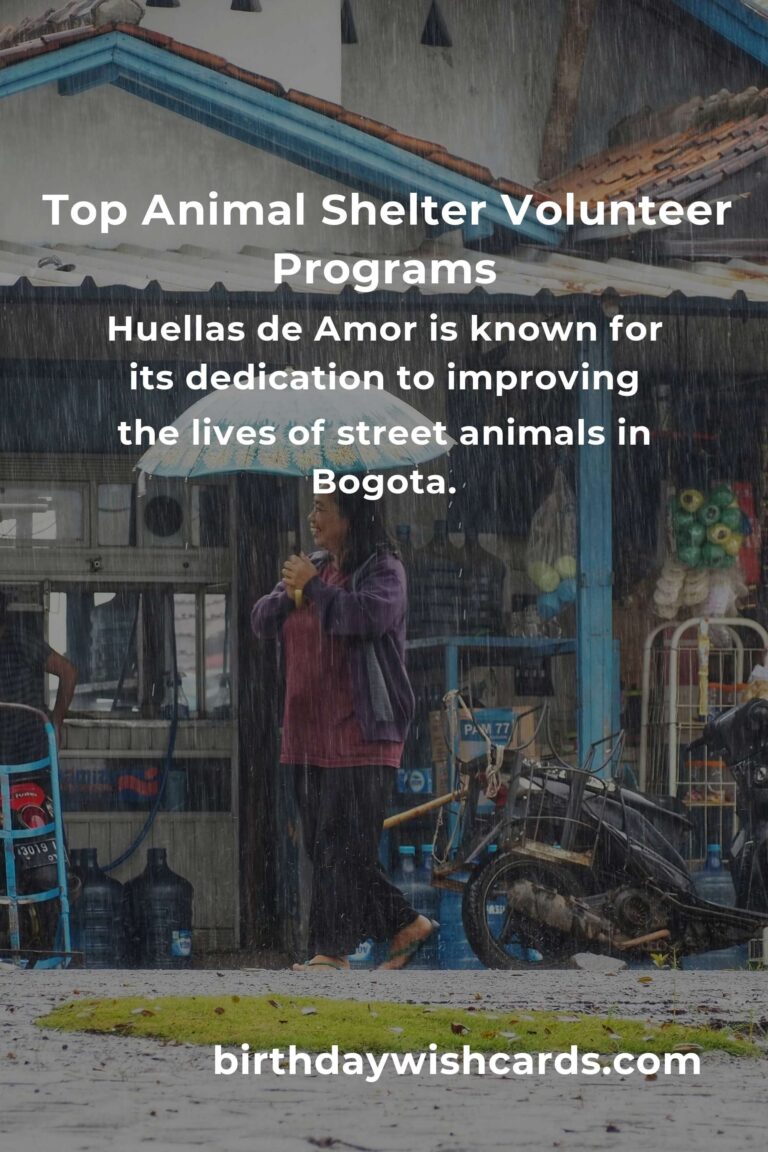 Discover the Best Animal Shelter Volunteer Programs in Bogota