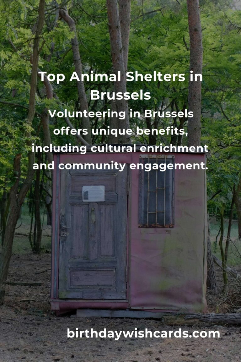 Discover the Best Animal Shelter Volunteer Programs in Brussels