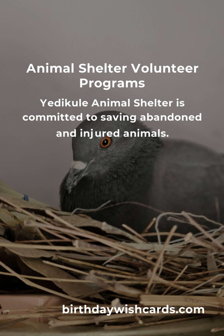 Discover the Best Animal Shelter Volunteer Programs in Istanbul