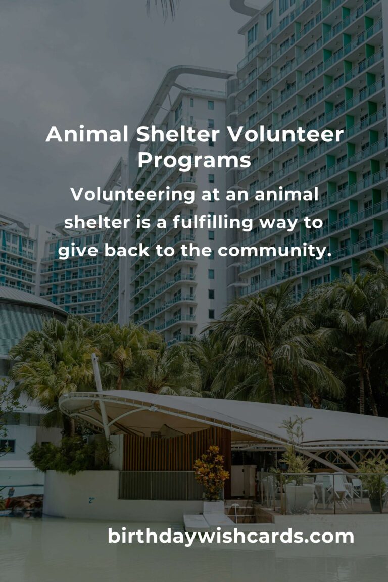 Discover the Best Animal Shelter Volunteer Programs in Istanbul
