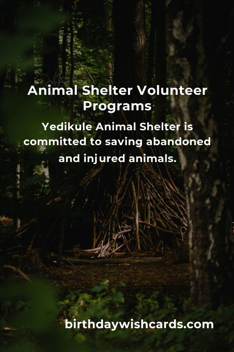Discover the Best Animal Shelter Volunteer Programs in Istanbul