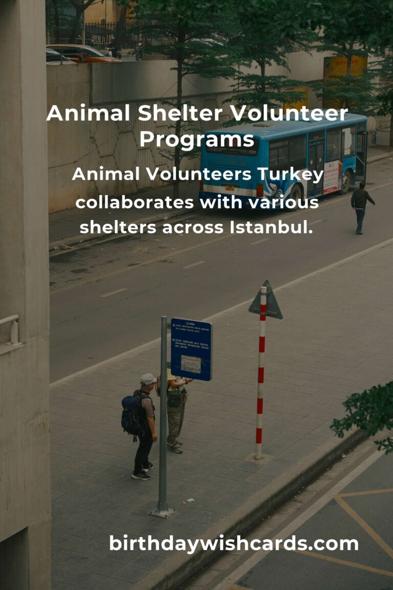 Discover the Best Animal Shelter Volunteer Programs in Istanbul