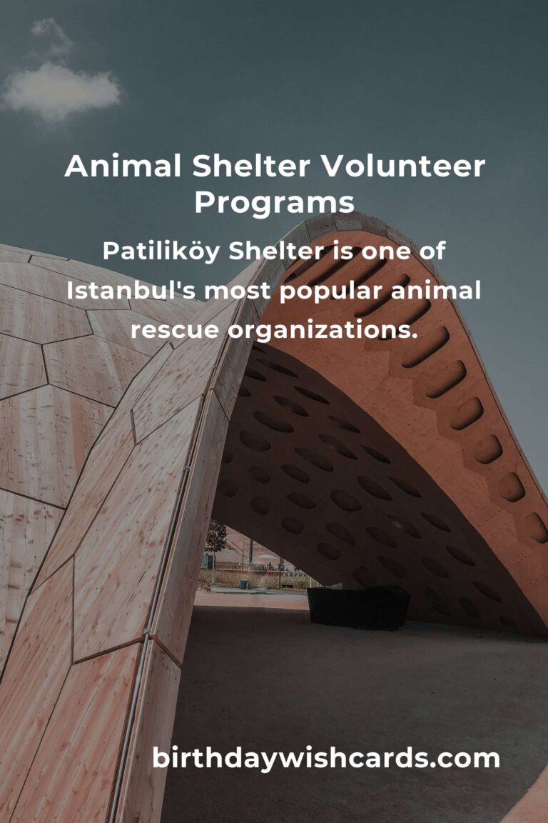 Discover the Best Animal Shelter Volunteer Programs in Istanbul