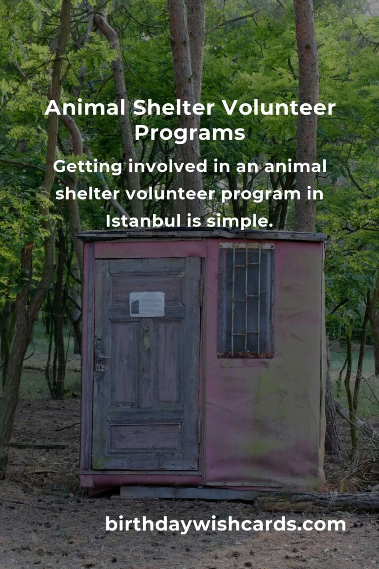 Discover the Best Animal Shelter Volunteer Programs in Istanbul