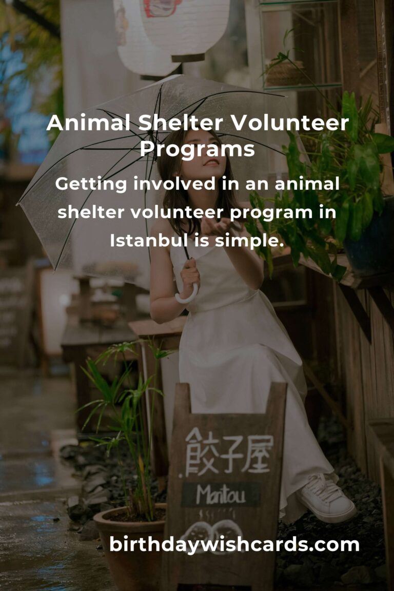 Discover the Best Animal Shelter Volunteer Programs in Istanbul