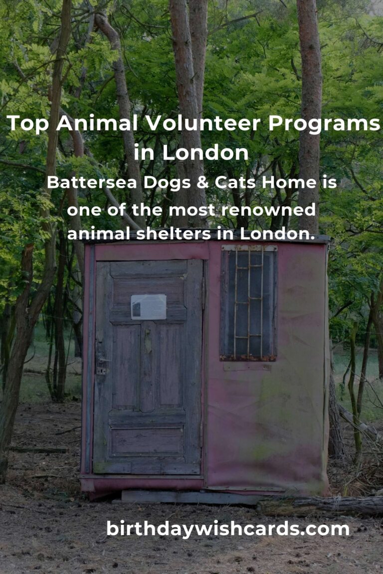 Discover the Best Animal Shelter Volunteer Programs in London