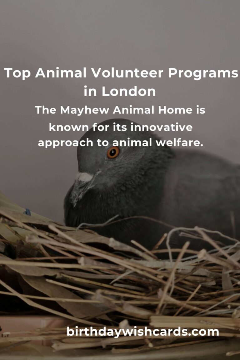 Discover the Best Animal Shelter Volunteer Programs in London
