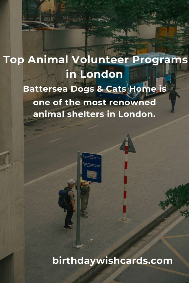 Discover the Best Animal Shelter Volunteer Programs in London