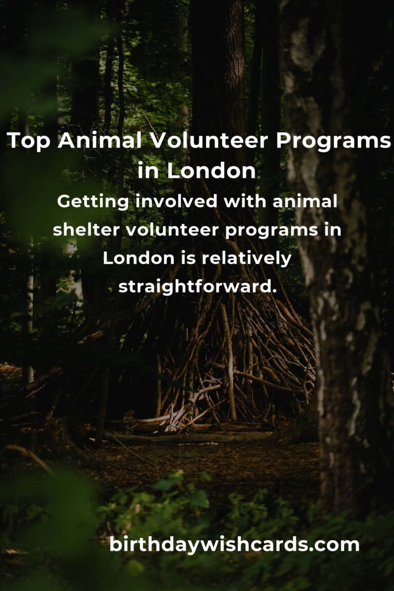 Discover the Best Animal Shelter Volunteer Programs in London