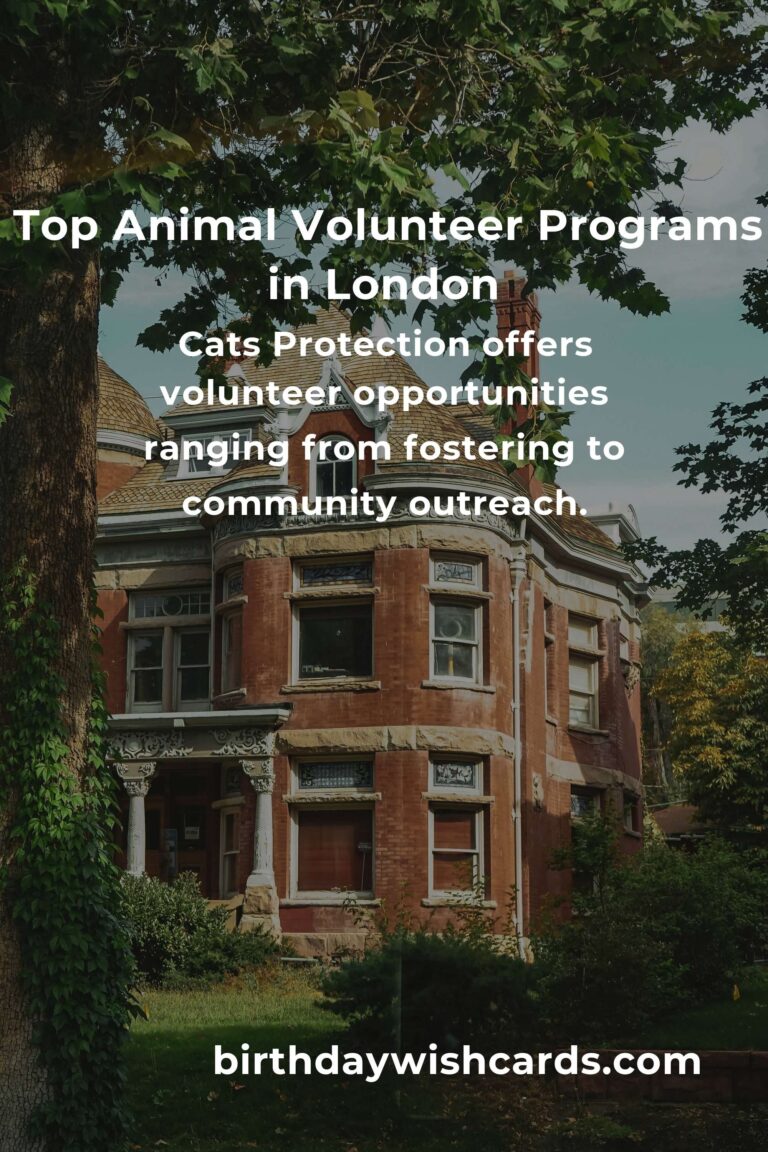 Discover the Best Animal Shelter Volunteer Programs in London