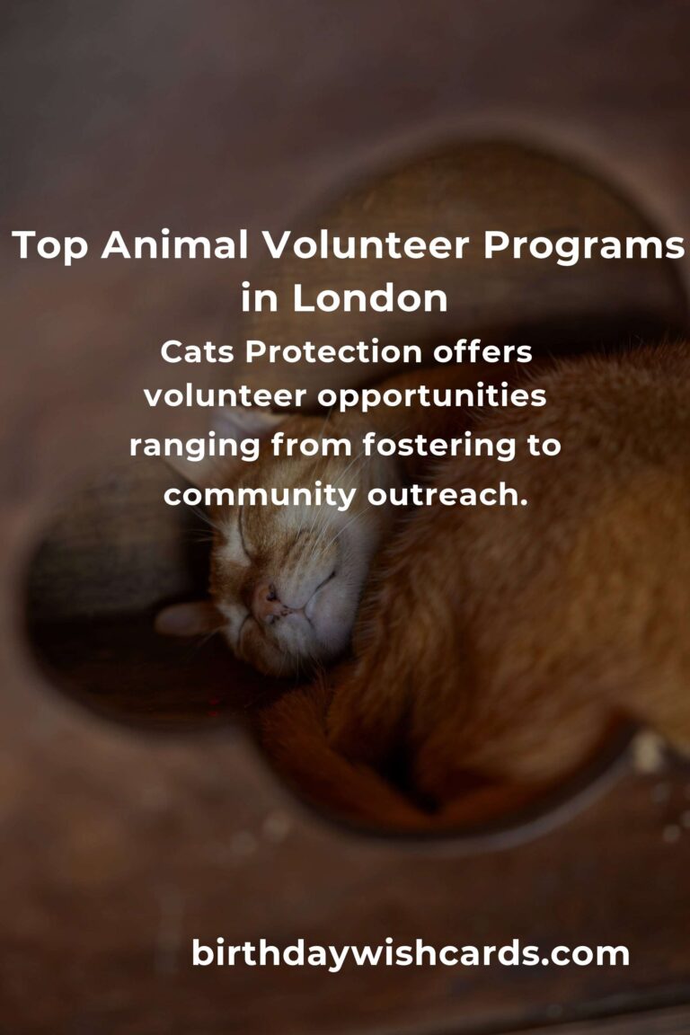 Discover the Best Animal Shelter Volunteer Programs in London