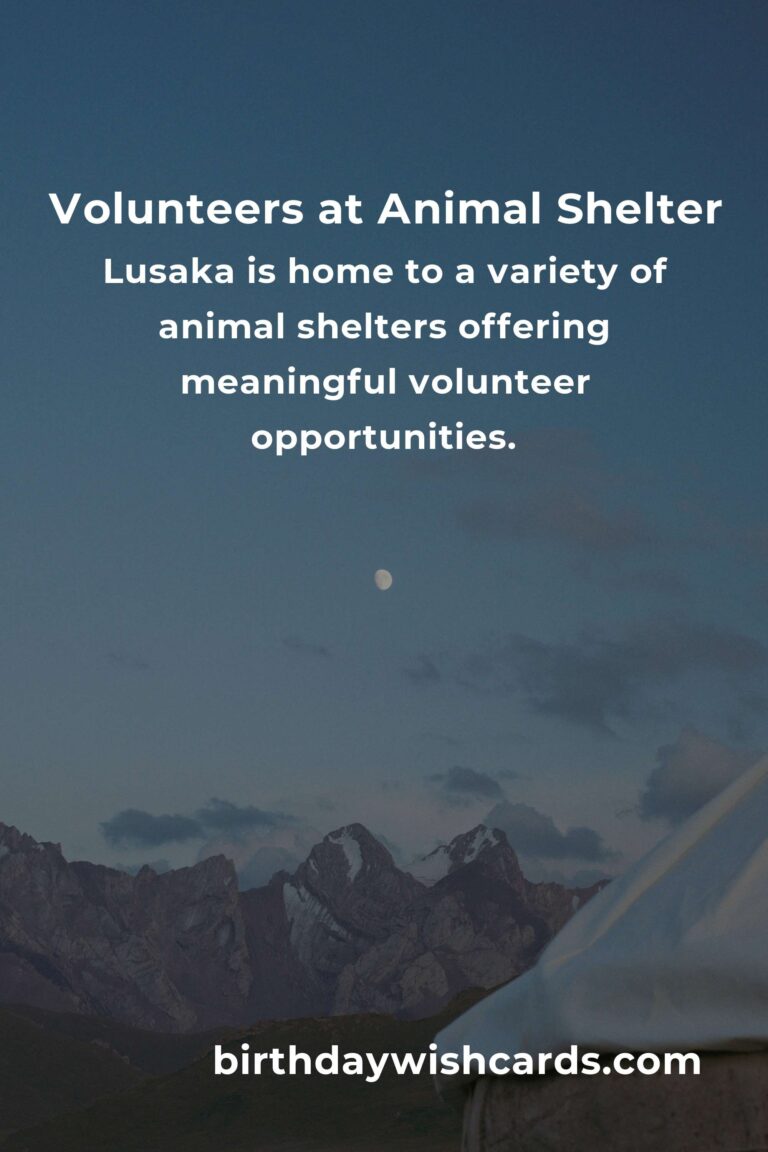 Discover the Best Animal Shelter Volunteer Programs in Lusaka