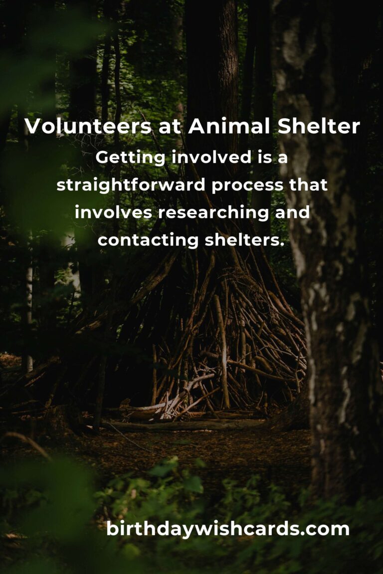 Discover the Best Animal Shelter Volunteer Programs in Lusaka